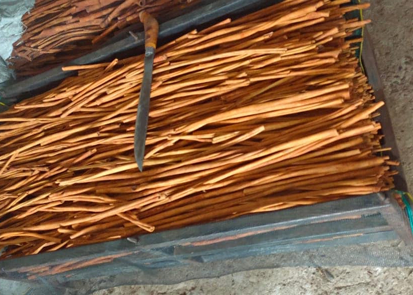 Rayyanagri exporter