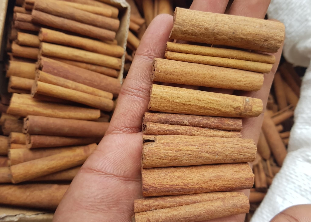 Rayyanagri exporter