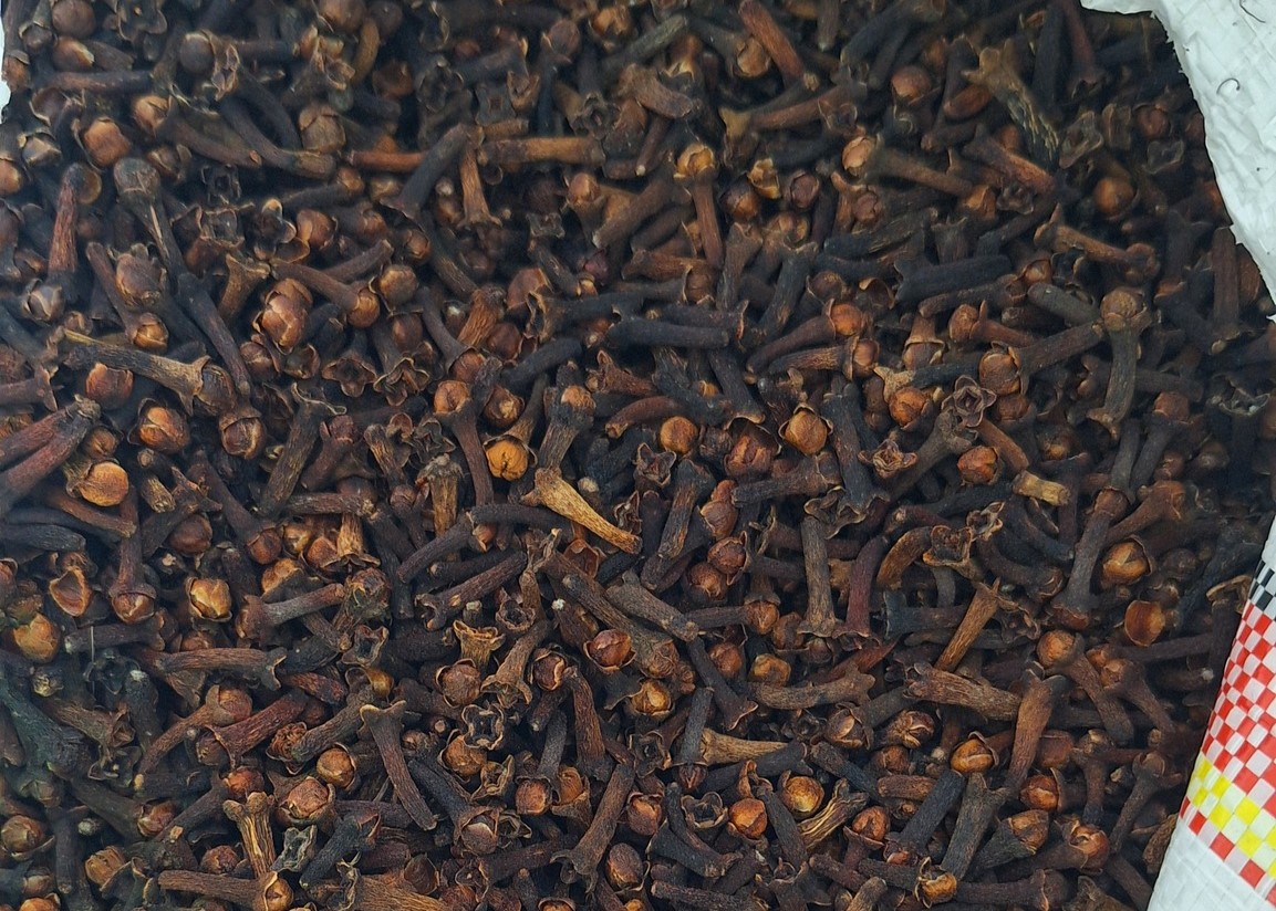 Rayyanagri exporter