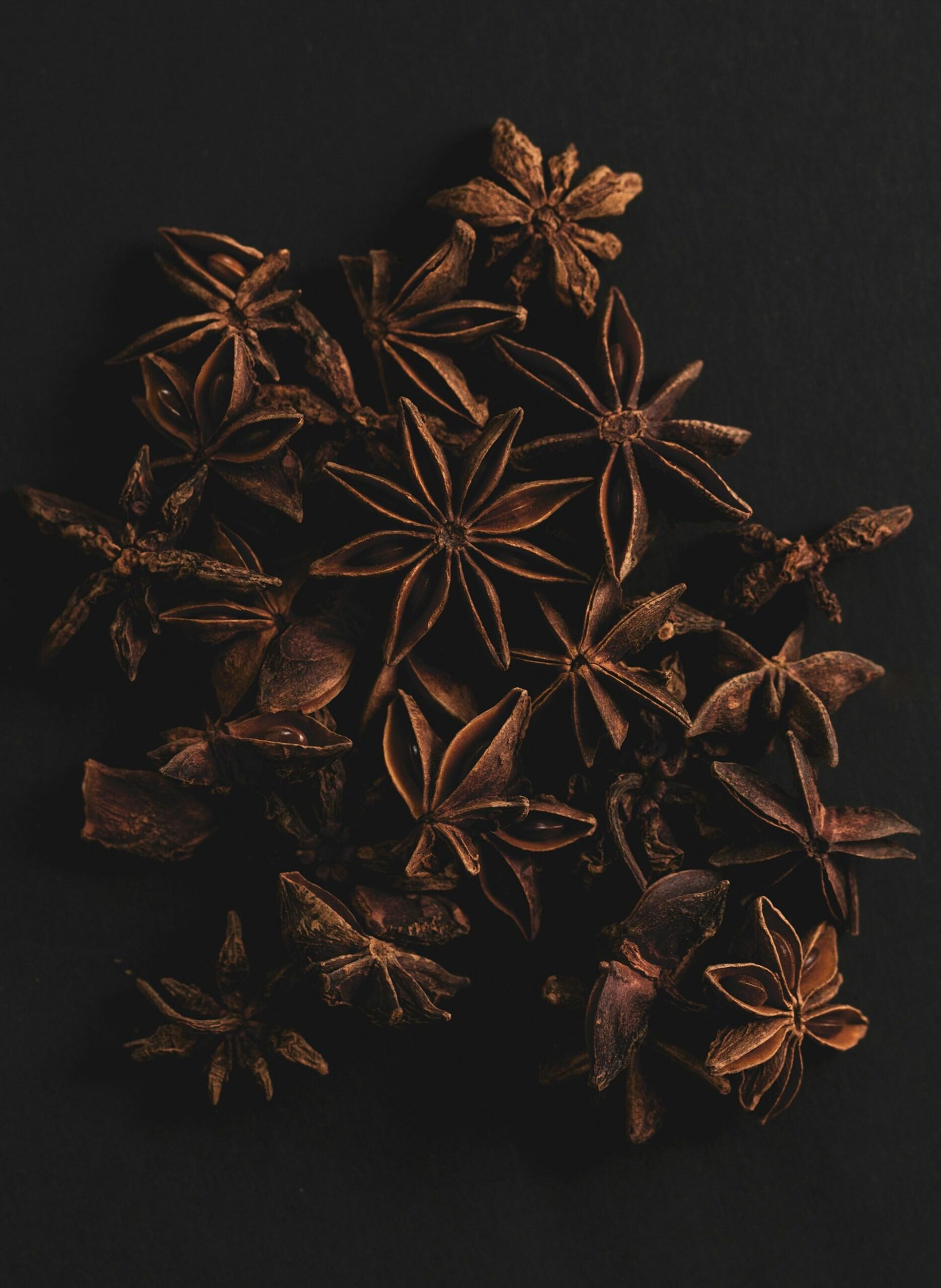 Rayyanagri exporter product1