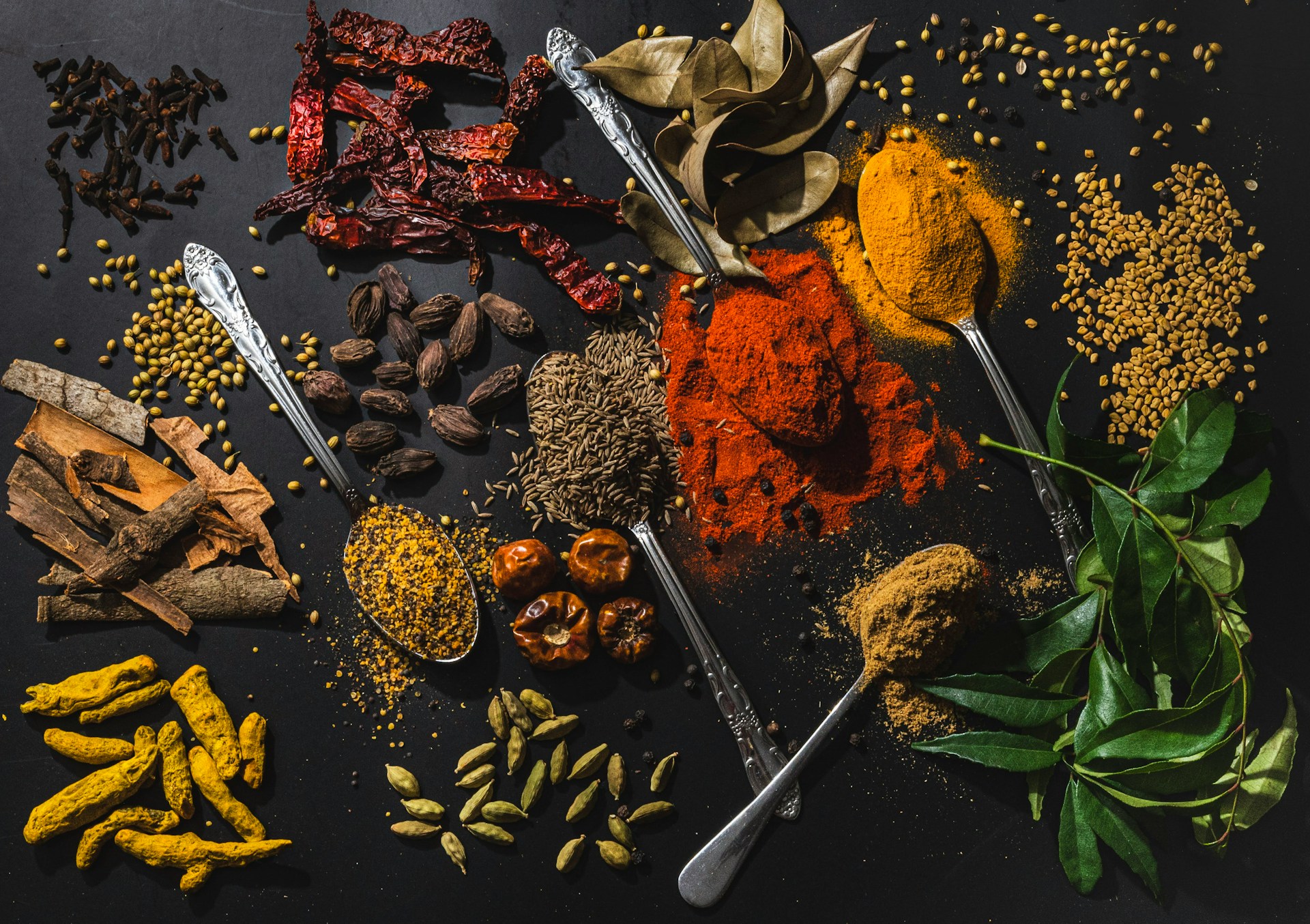 anju-ravindranath-Nihdo084Yos-unsplash